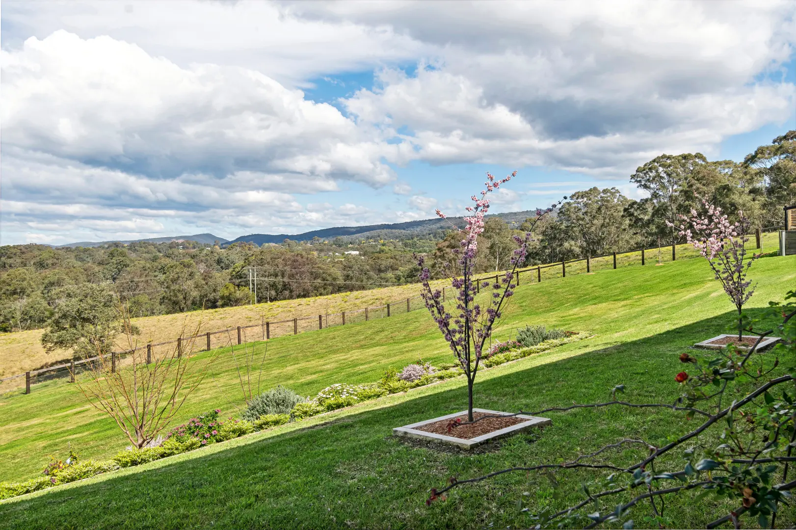 The Kurrajong 10